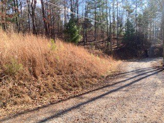 LT 1145 Monet Drive, Ellijay, GA 30540 - #3