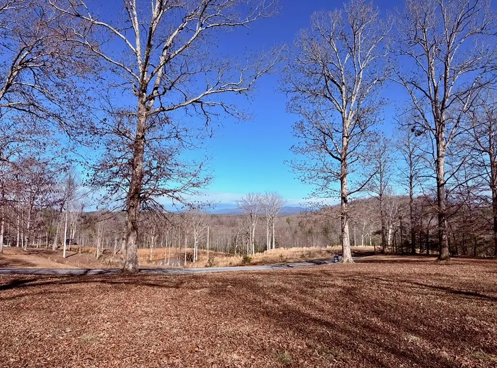 C4 Briar Woods Lane, Blue Ridge, GA 30513 - #1