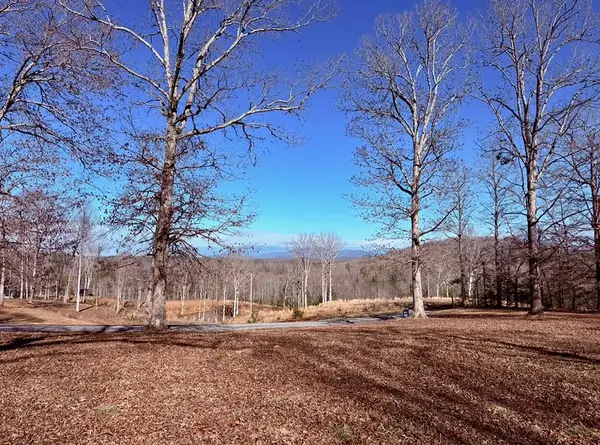 C4 Briar Woods Lane, Blue Ridge, GA 30513