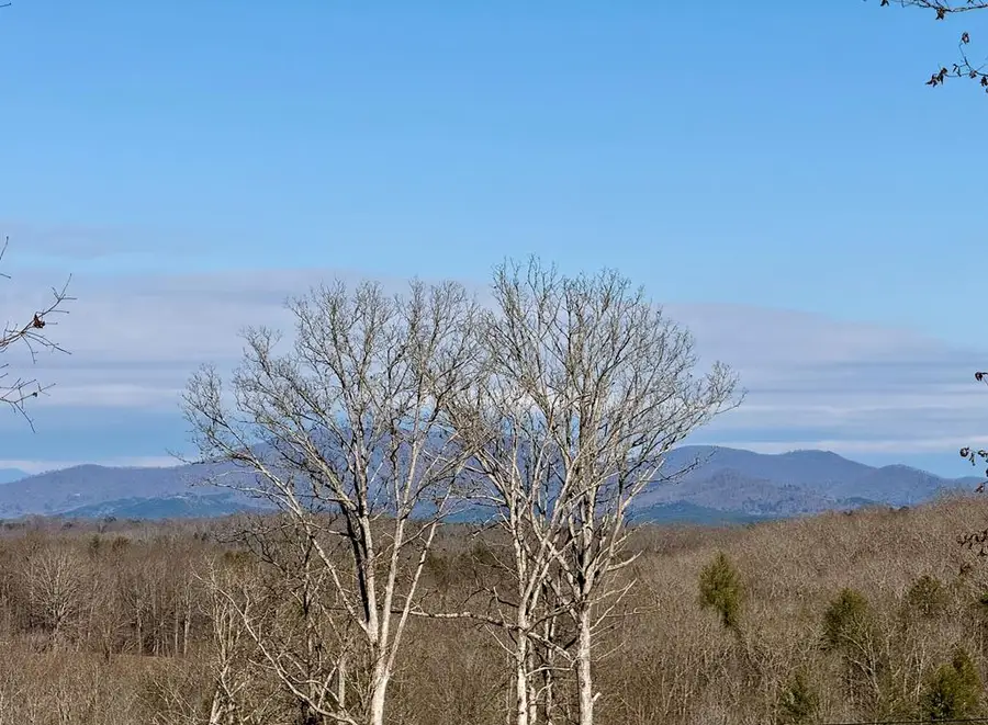 C4 Briar Woods Lane, Blue Ridge, GA 30513 - #2