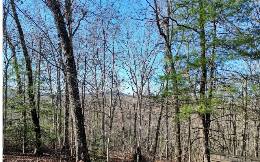 LOT 9 Sunrise Court, Blue Ridge, GA 30513 - #3