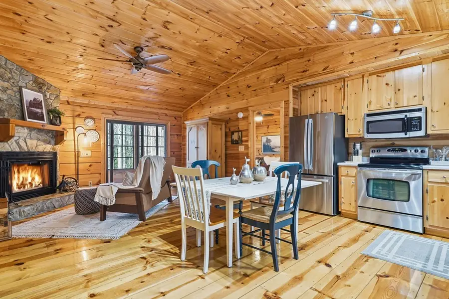 266 Chimney Rock Road, Cherry Log, GA 30522 - #2