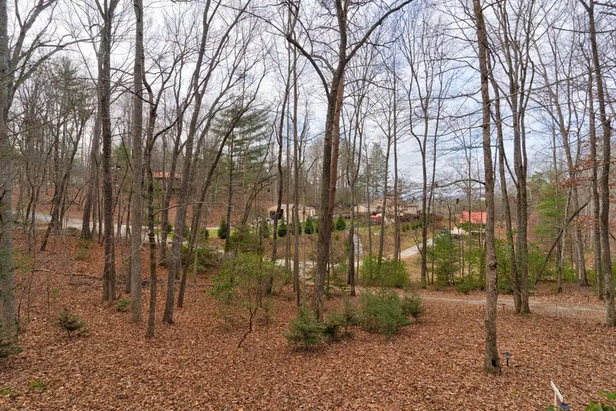 80 Treetop Lane, Blairsville, GA 30512 - #2