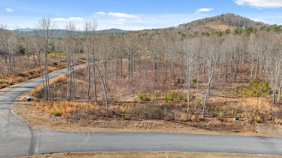 Lot 225 Oak Park Drive, Talking Rock, GA 30175 - #2