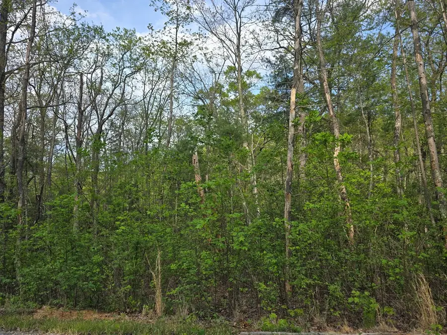 Lot 10 Kennedys Court, Blairsville, GA 30512 - #3