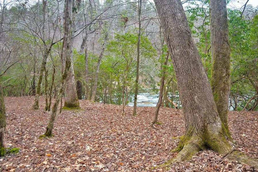 8 acres Brunton Circle, Ellijay, GA 30540 - #3