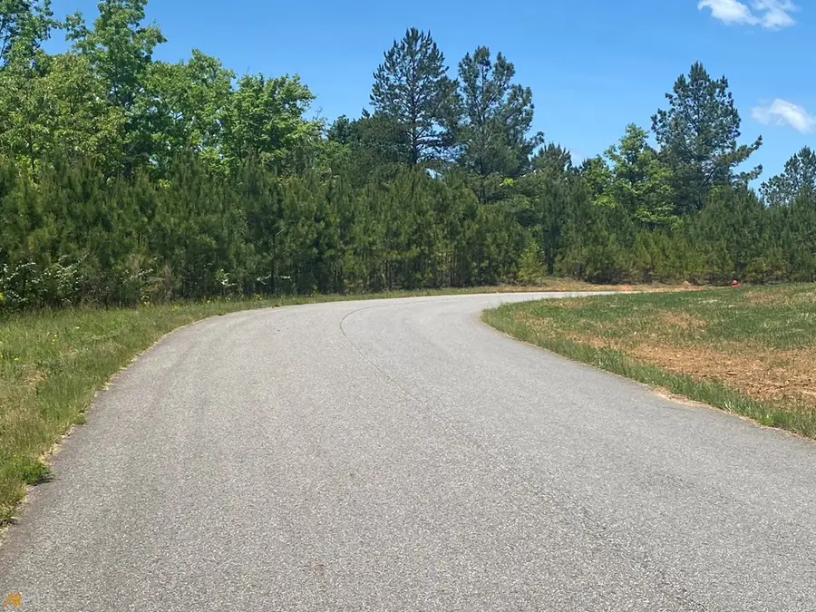 Lot 55 Village Loop, Blairsville, GA 30512 - #3