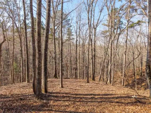 1884 Finale Street, Talking Rock, GA 30175 - #1