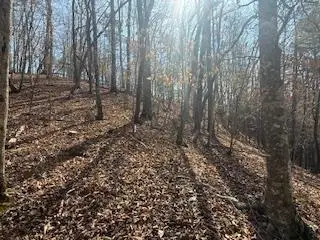 Lot 2119 Newport Drive, Ellijay, GA 30540 - #1