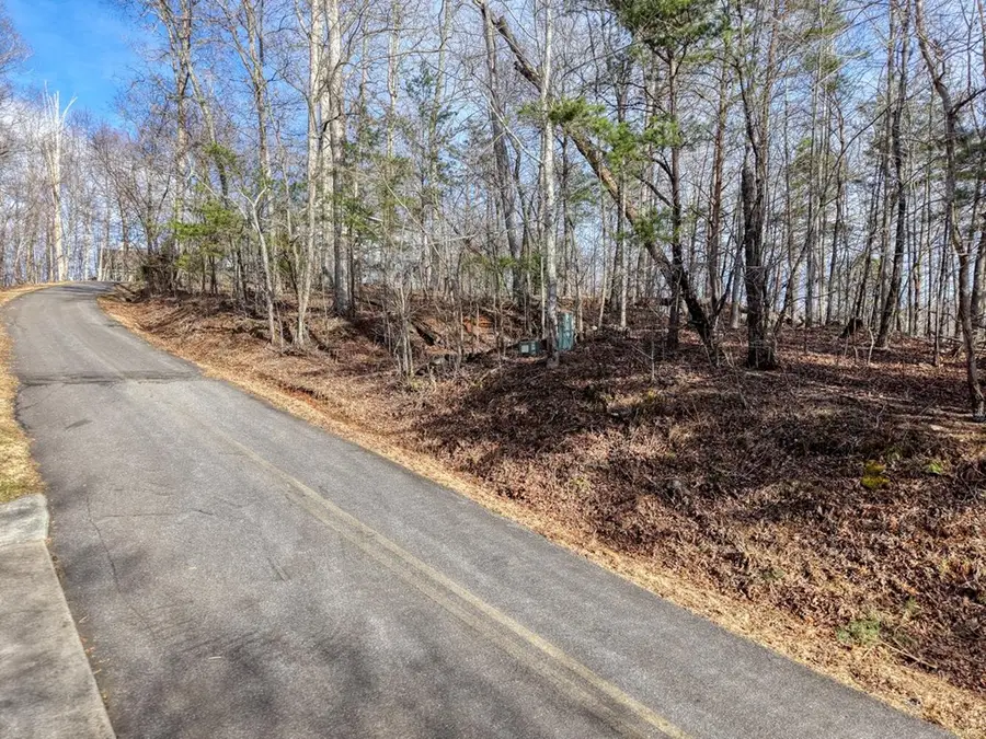 Lot 5 Harris Ridge, Young Harris, GA 30582 - #3
