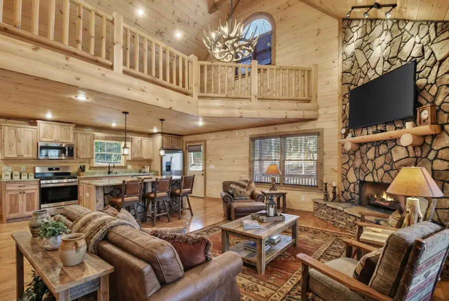 17 Dial Mountain Drive, Blue Ridge, GA 30513 - #3