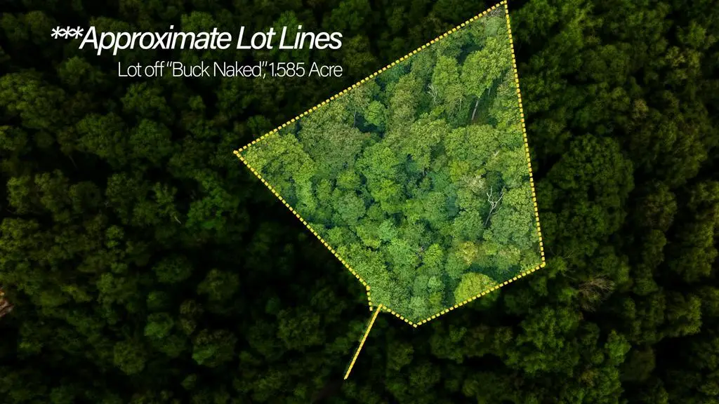 Lot Off Buck Naked, Bryson City, NC 28713 - #1