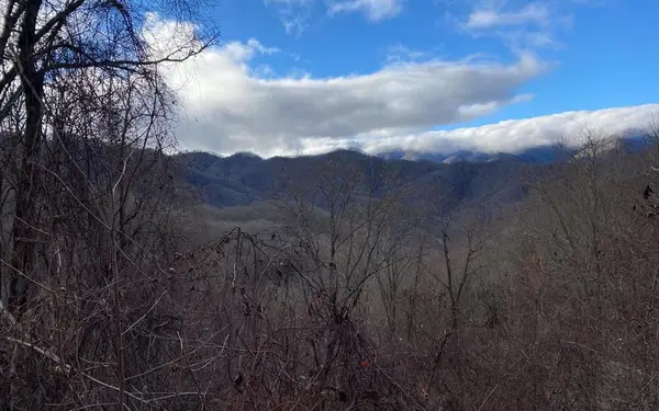 Lot Off Buck Naked, Bryson City, NC 28713