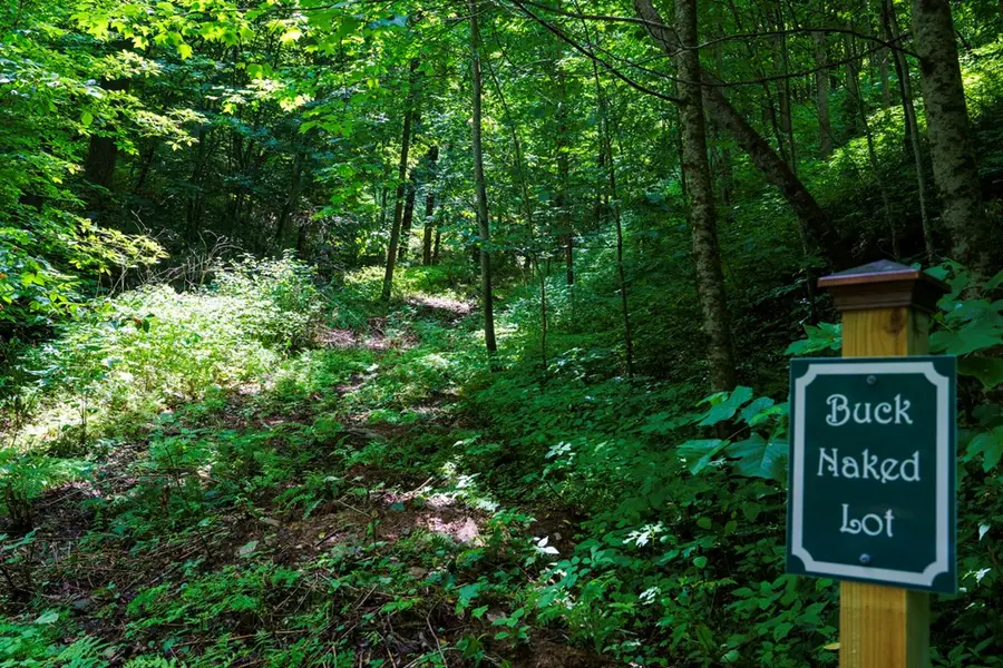 Lot Off Buck Naked, Bryson City, NC 28713 - #3