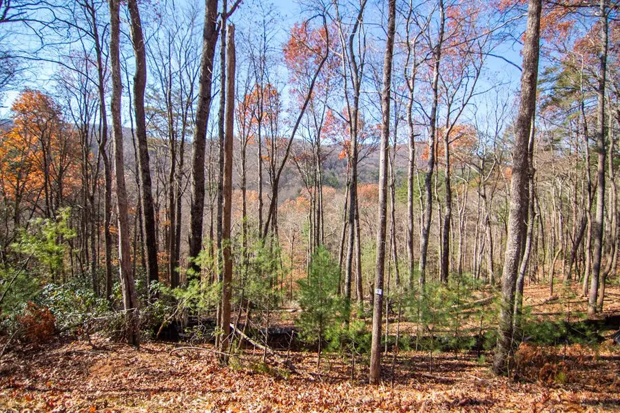 Lot 5 Clay's Way, Blue Ridge, GA 30513 - #2