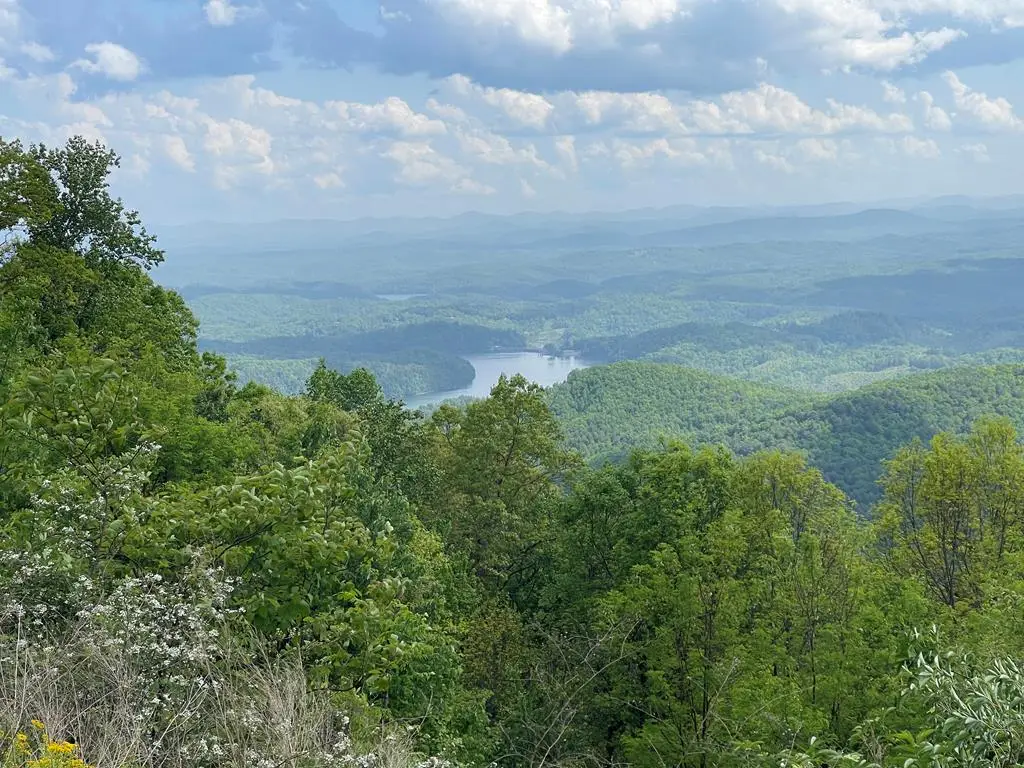 0 Burrell Mountain Road, Murphy, NC 28906 - #1