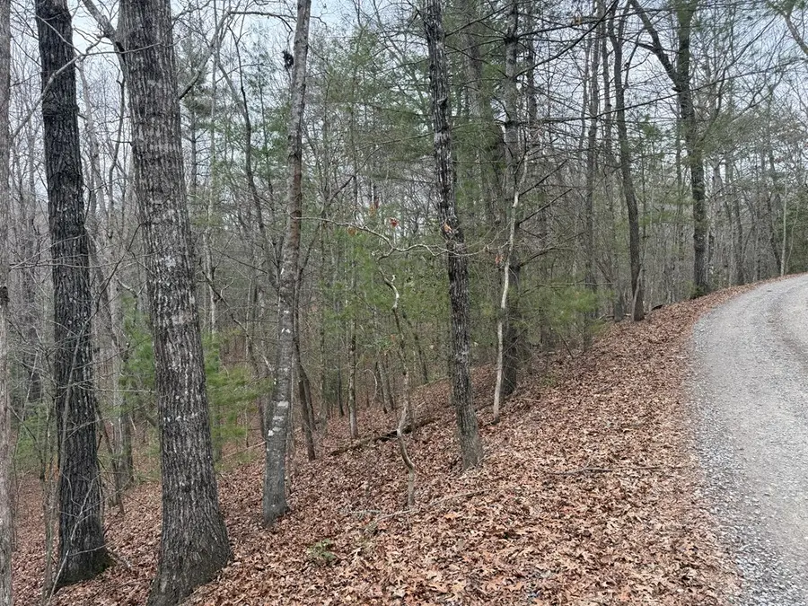 0 Mahana Lane, Murphy, NC 28906 - #2