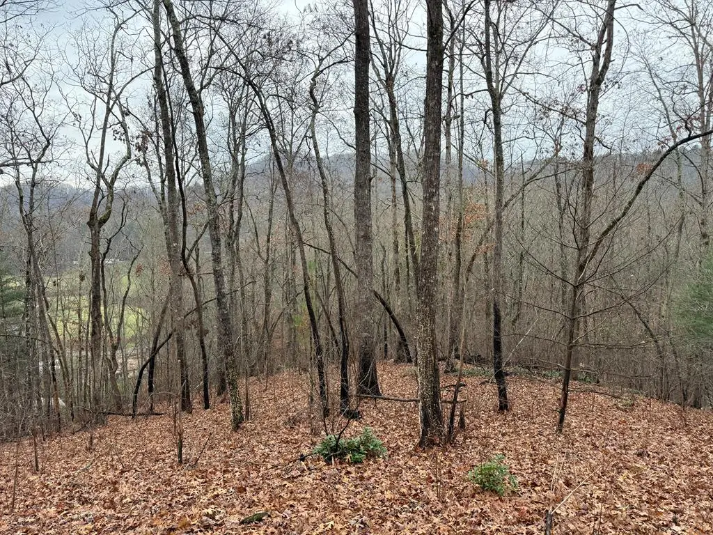 0 Flaming Ridge, Hayesville, NC 28905 - #1