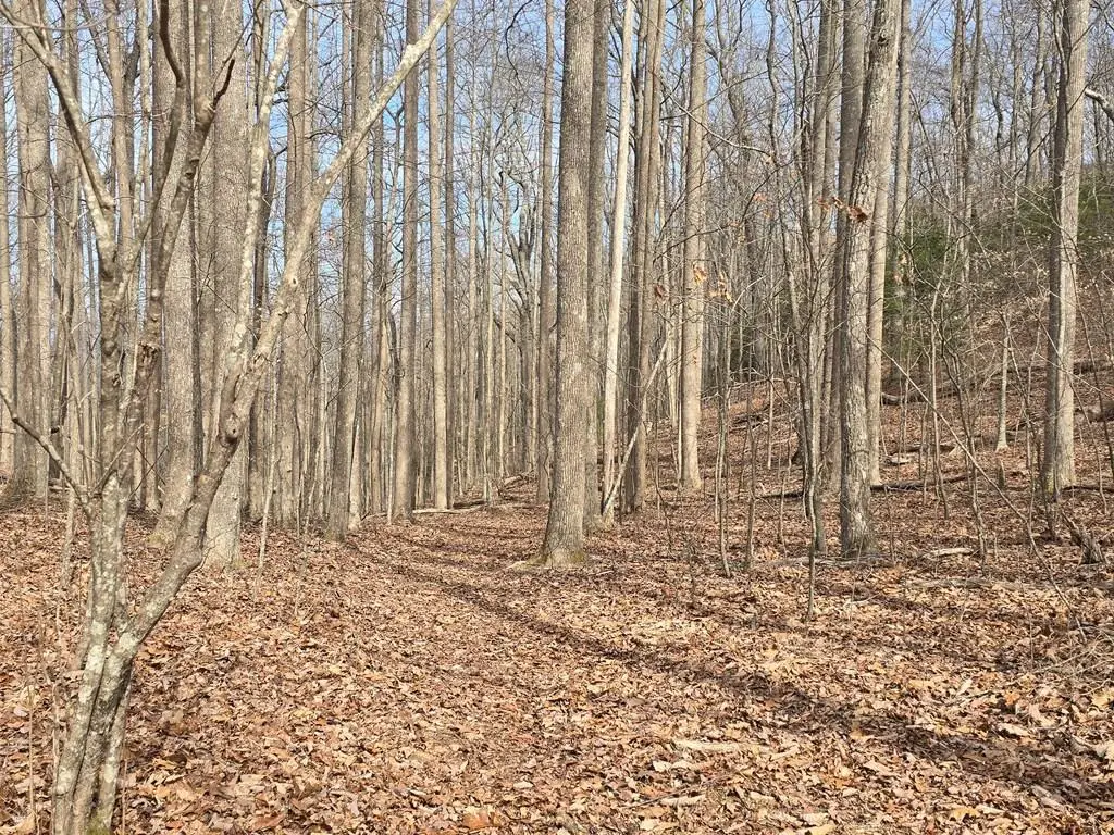 13.75 Ac Caesar Gap Road, Hiawassee, GA 30546 - #1