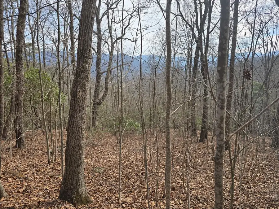 13.75 Ac Caesar Gap Road, Hiawassee, GA 30546 - #2