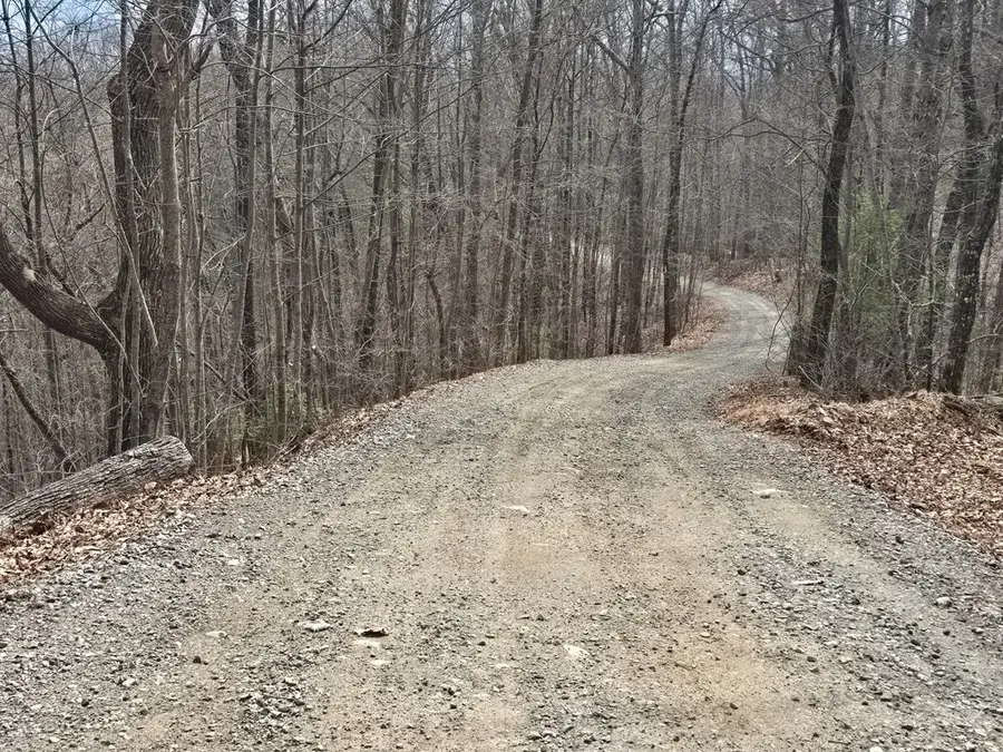 13.75 Ac Caesar Gap Road, Hiawassee, GA 30546 - #3