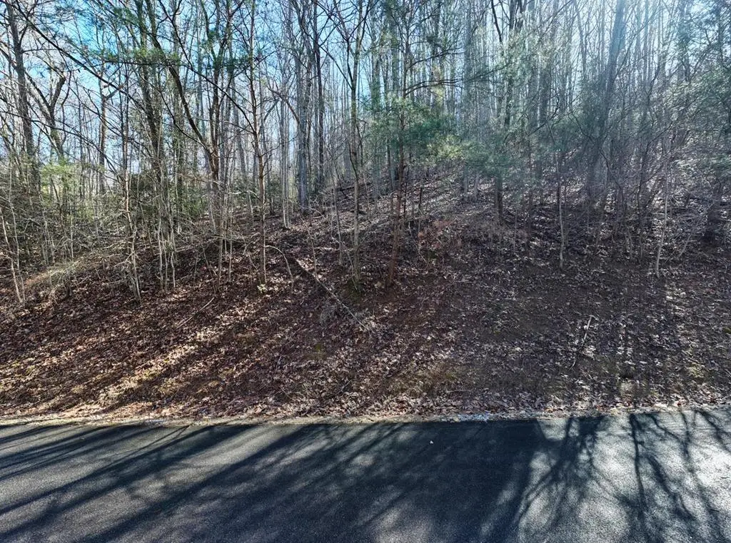 7C & 7D Timber Bend, Blairsville, GA 30512 - #1