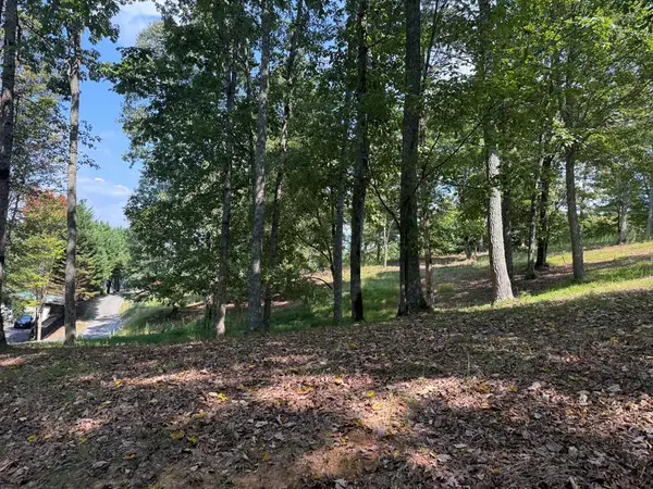 0 Madison Lane, Murphy, NC 28906