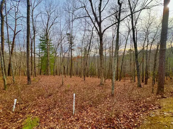 208 Harris Ridge Drive, Ellijay, GA 30540