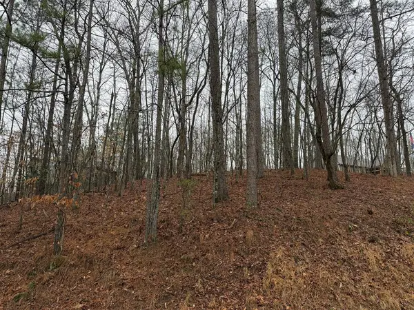 Lot 452 Joliet Drive, Ellijay, GA 30540