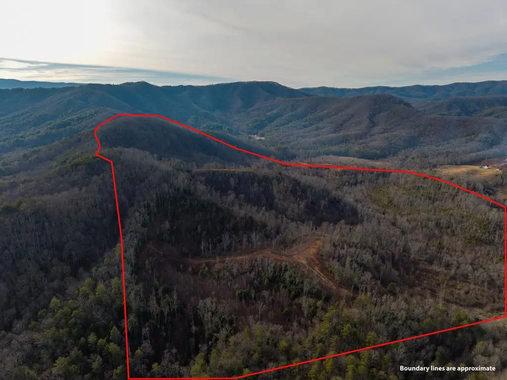 156+ AC Higdon Creek Road, Blue Ridge, GA 30513 - #1