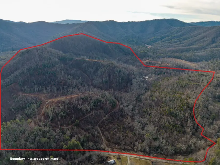 156+ AC Higdon Creek Road, Blue Ridge, GA 30513 - #2