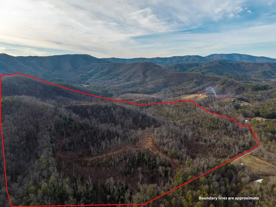 156+ AC Higdon Creek Road, Blue Ridge, GA 30513 - #3