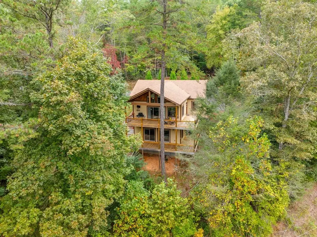 292 Silver Fox Trail, Blue Ridge, GA 30513 - #1
