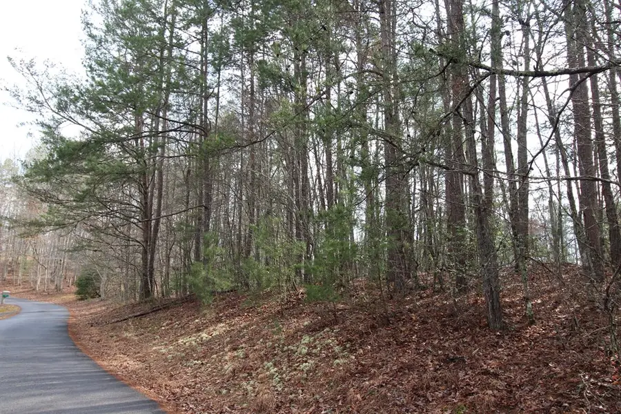 00 Old Evans Road, Murphy, NC 28906 - #2