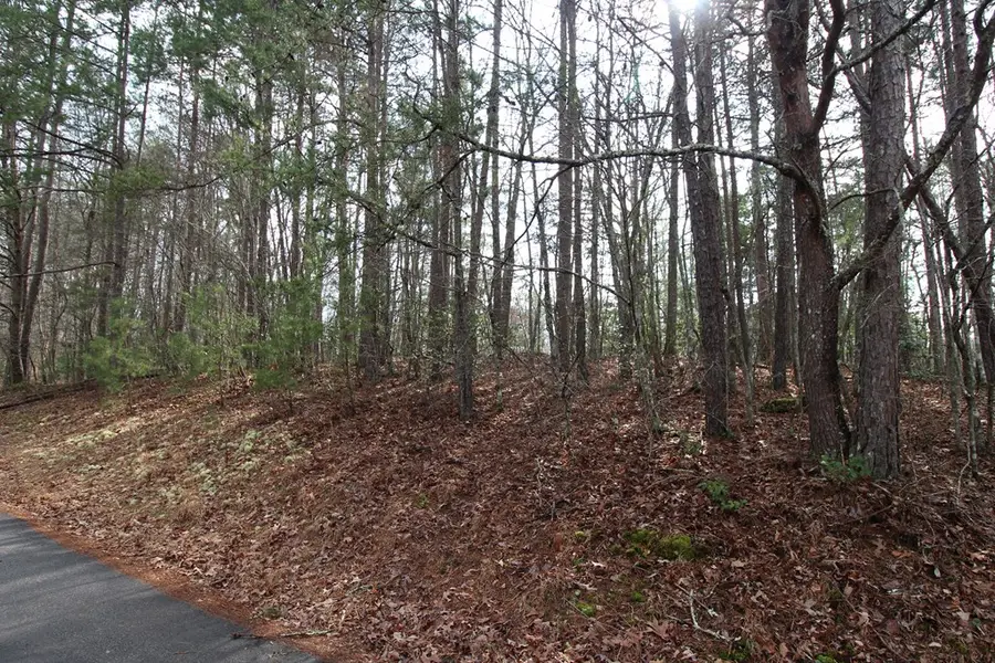 00 Old Evans Road, Murphy, NC 28906 - #3