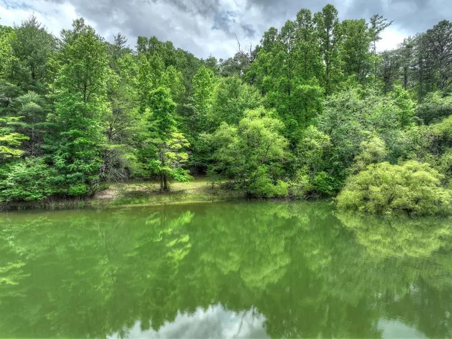 102 Captains Cove, Blairsville, GA 30512 - #3