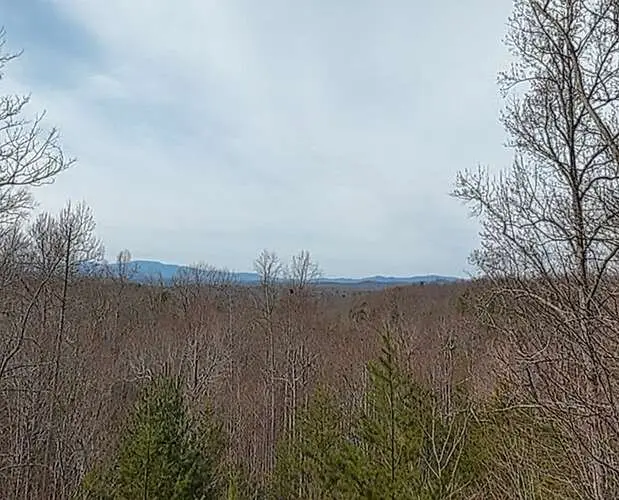 76 Channing Hollow, Morganton, GA 30560 - #2