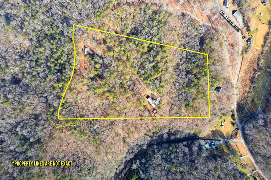 673 Harold Pritchett Road, Ellijay, GA 30540 - #3