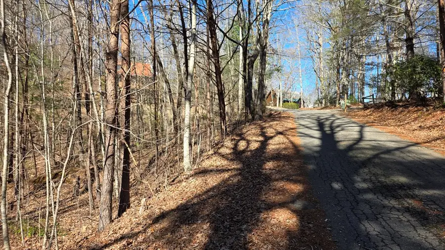 Lt 11 Mountain Laurel Est., Young Harris, GA 30582 - #3