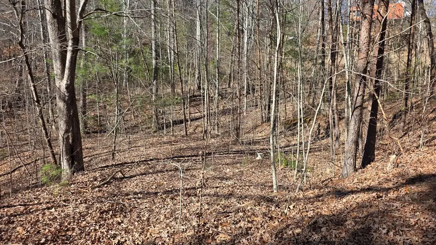 Lt 12 Mountain Laurel Est., Young Harris, GA 30582 - #3