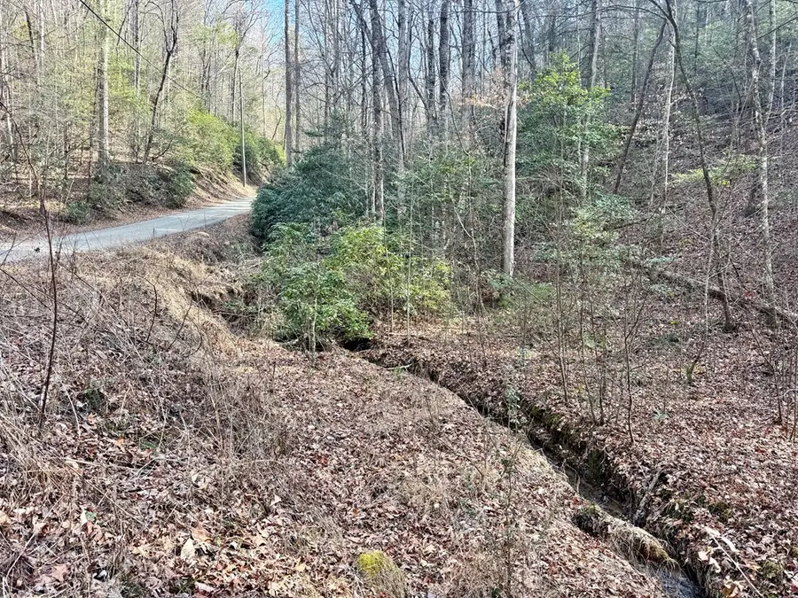 L53 Amy Creek Circle, Ellijay, GA 30540 - #3