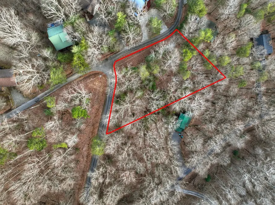 LT M57 Walnut Mountain Court, Ellijay, GA 30536 - #2