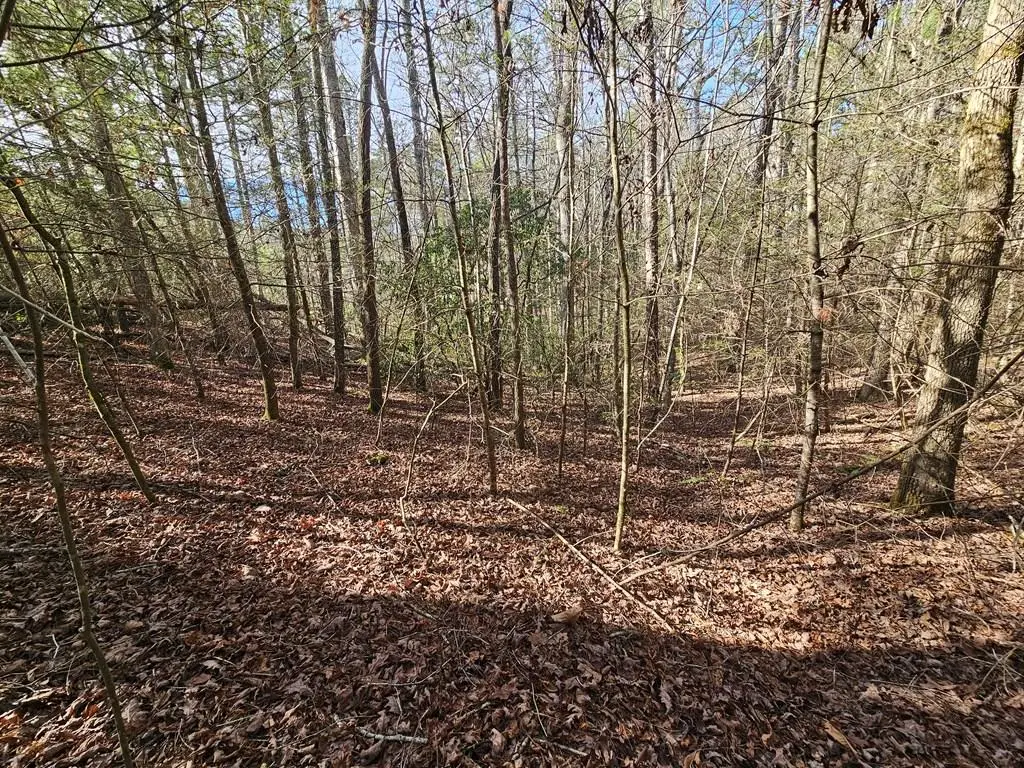 Lot 77 Roaring Forks Lane, Ellijay, GA 30540 - #1