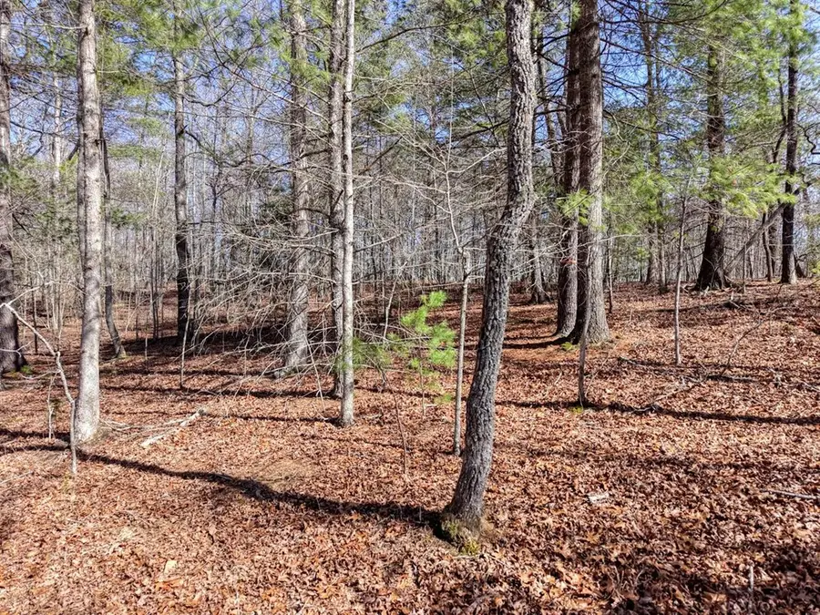 Lot 40 Lola Mae Way, Morganton, GA 30560 - #3