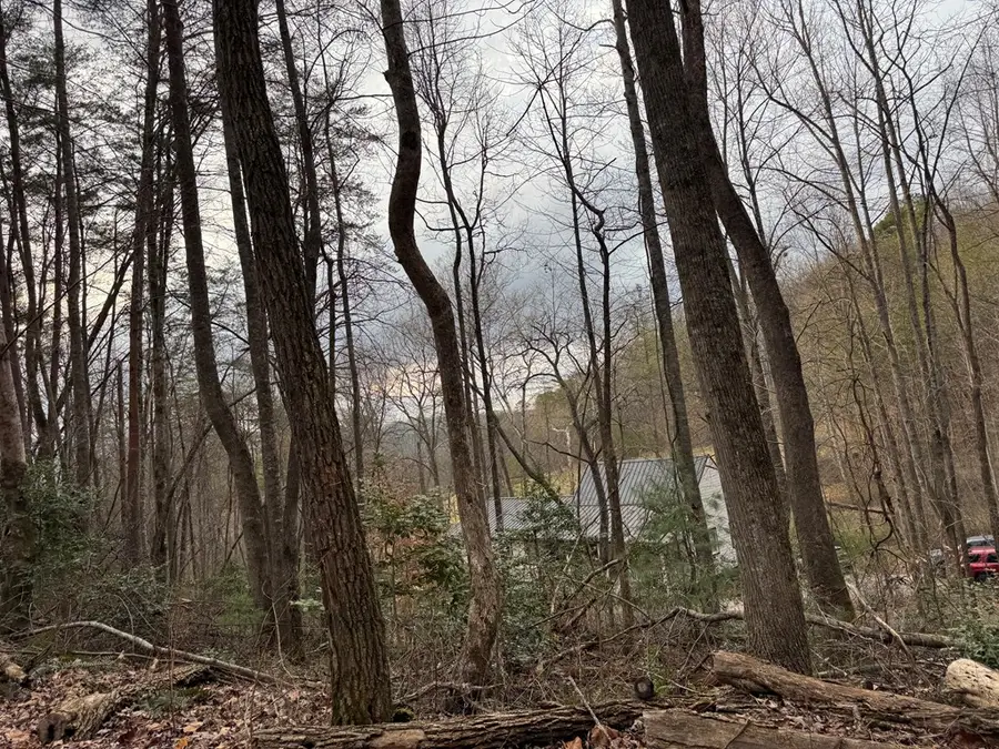 29,30 Sunset Drive W, Young Harris, GA 30585 - #3