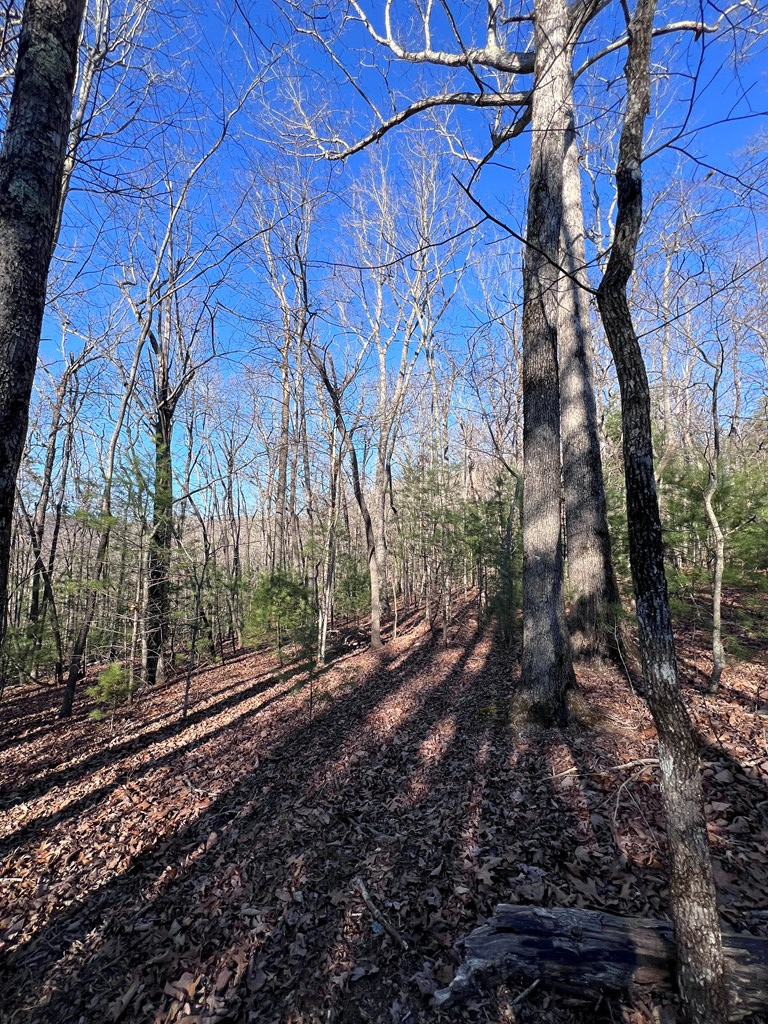 0 Old Parker Terrace, Ellijay, GA 30540 - #3