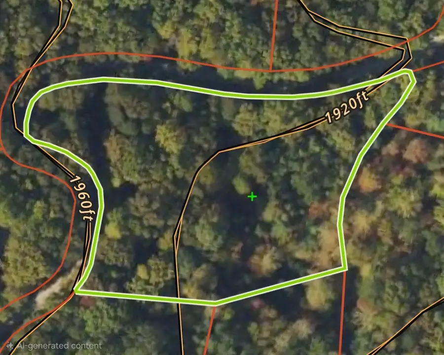 Lot 12 Oak Loop, Mineral Bluff, GA 30559 - #2