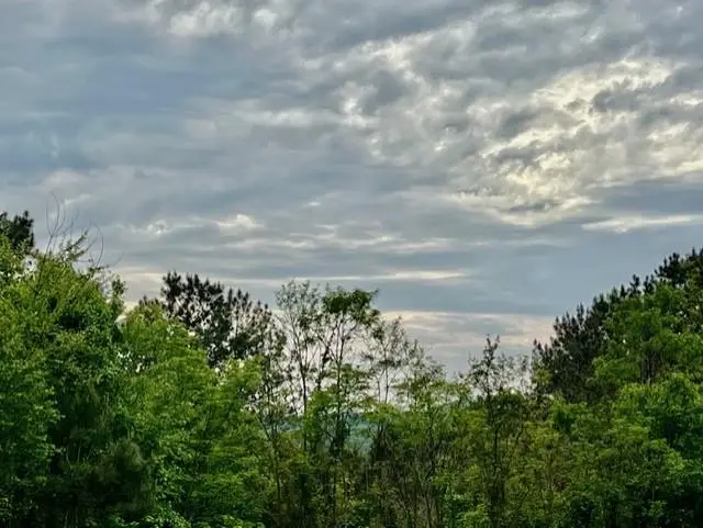 Lot 28 Eastside Drive, Ellijay, GA 30536 - #1