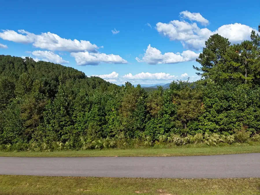 LOT55 Thirteen Hundred, Blairsville, GA 30512 - #3