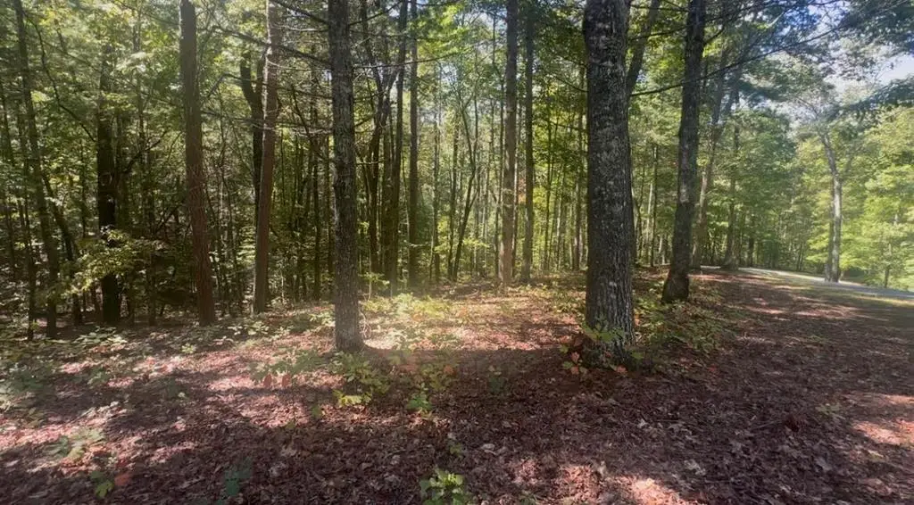 1.81 AC Nature Valley Trail, Murphy, NC 28906 - #1